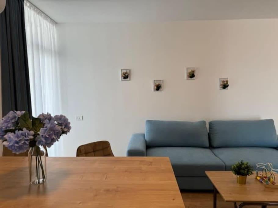 Joy City Stay Vivalia 7B-25 Timisoara Luaran gambar
